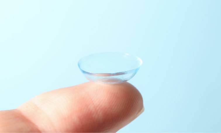 Soft Contact Lenses